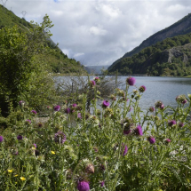 2016 Pyrénées du 8 au 16 juillet 2016 (415)